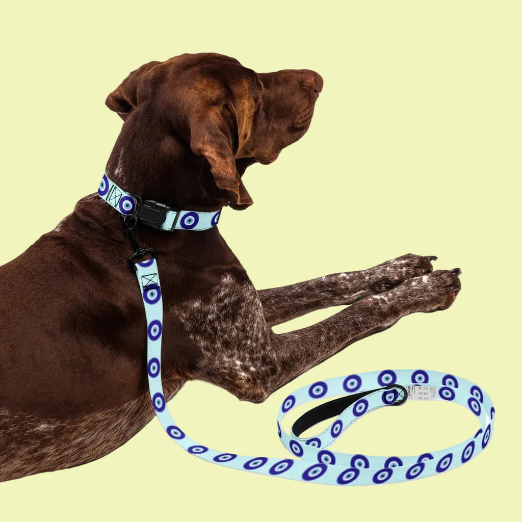 Dog Leash and Collar Set product image 1