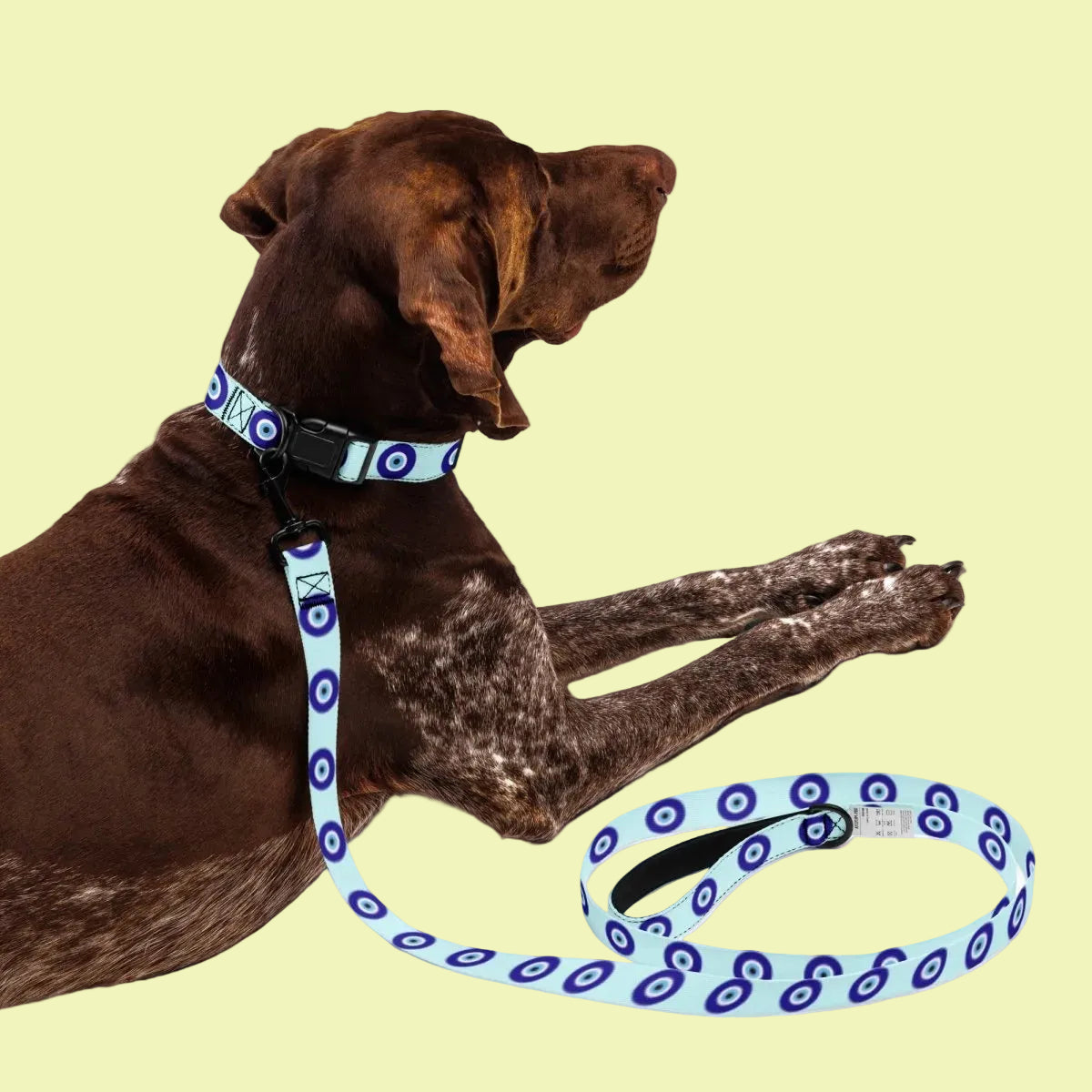 Dog Leash and Collar Set product image 1