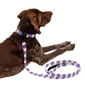 Dog Leash and Collar Set product image 1