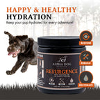 Dog Hydration and Recovery Supplement product image 2