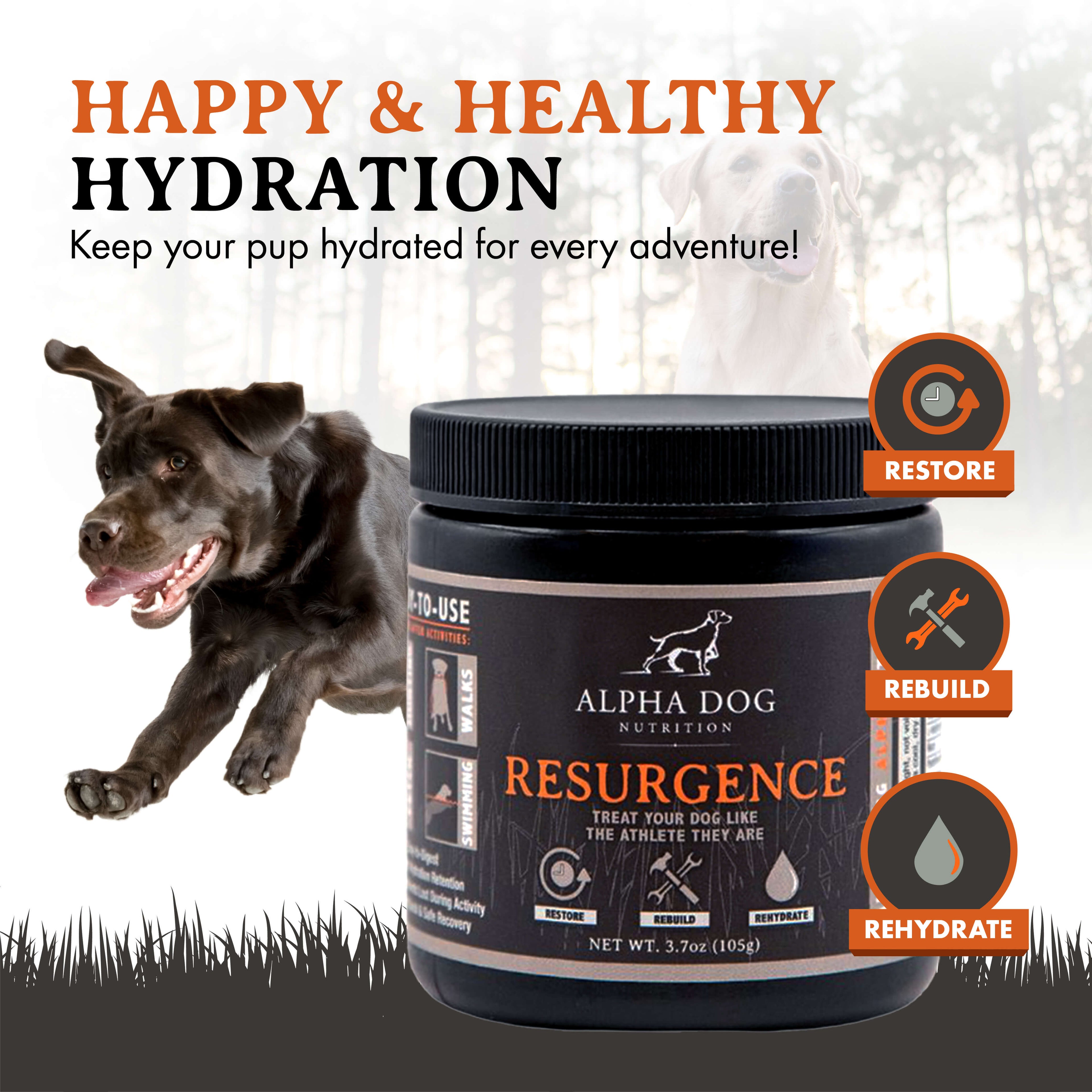 Dog Hydration and Recovery Supplement product image 2