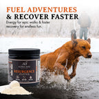 Dog Hydration and Recovery Supplement product image 3
