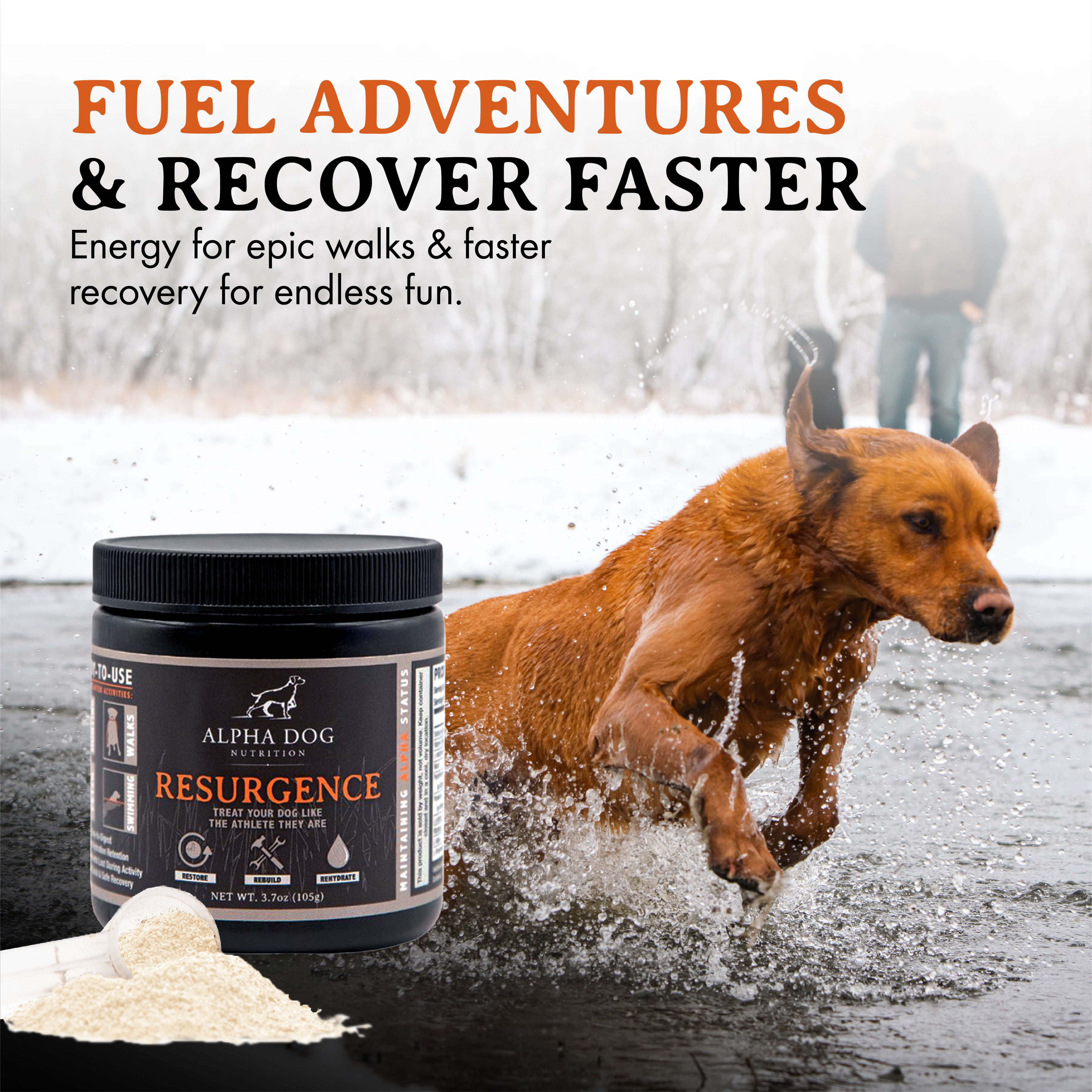 Dog Hydration and Recovery Supplement product image 3