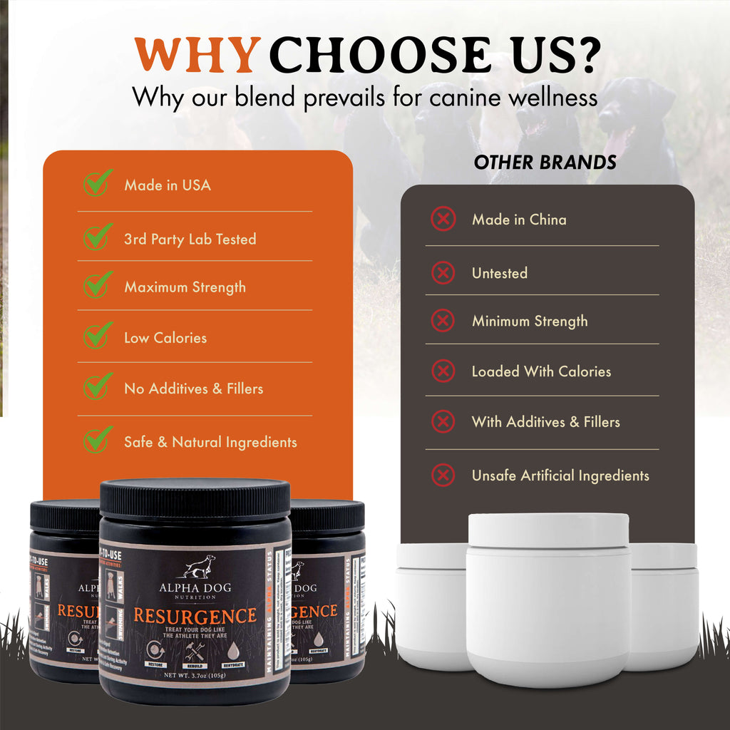 Dog Hydration and Recovery Supplement product image 5