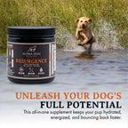 Dog Hydration and Recovery Supplement product image 6