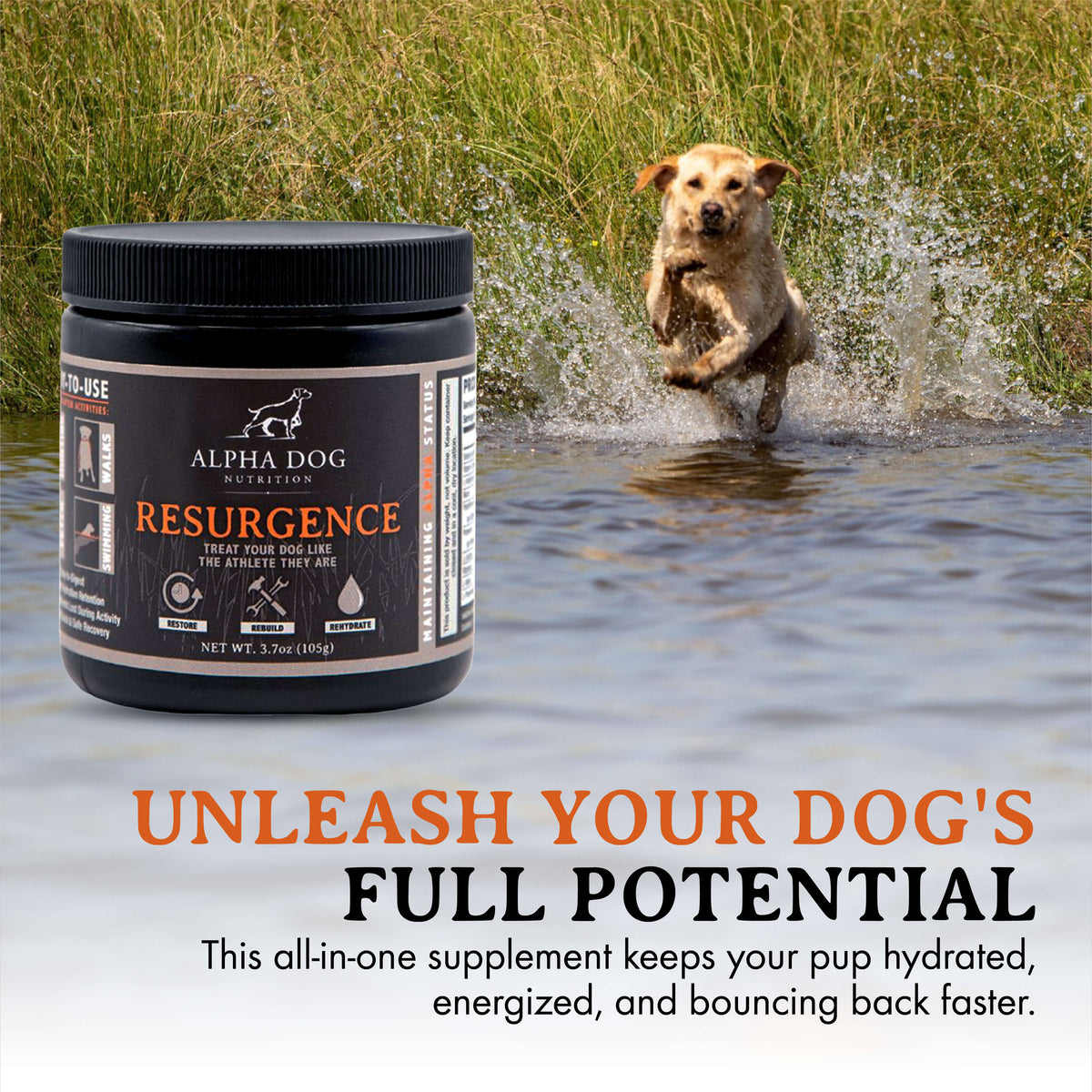 Dog Hydration and Recovery Supplement product image 6