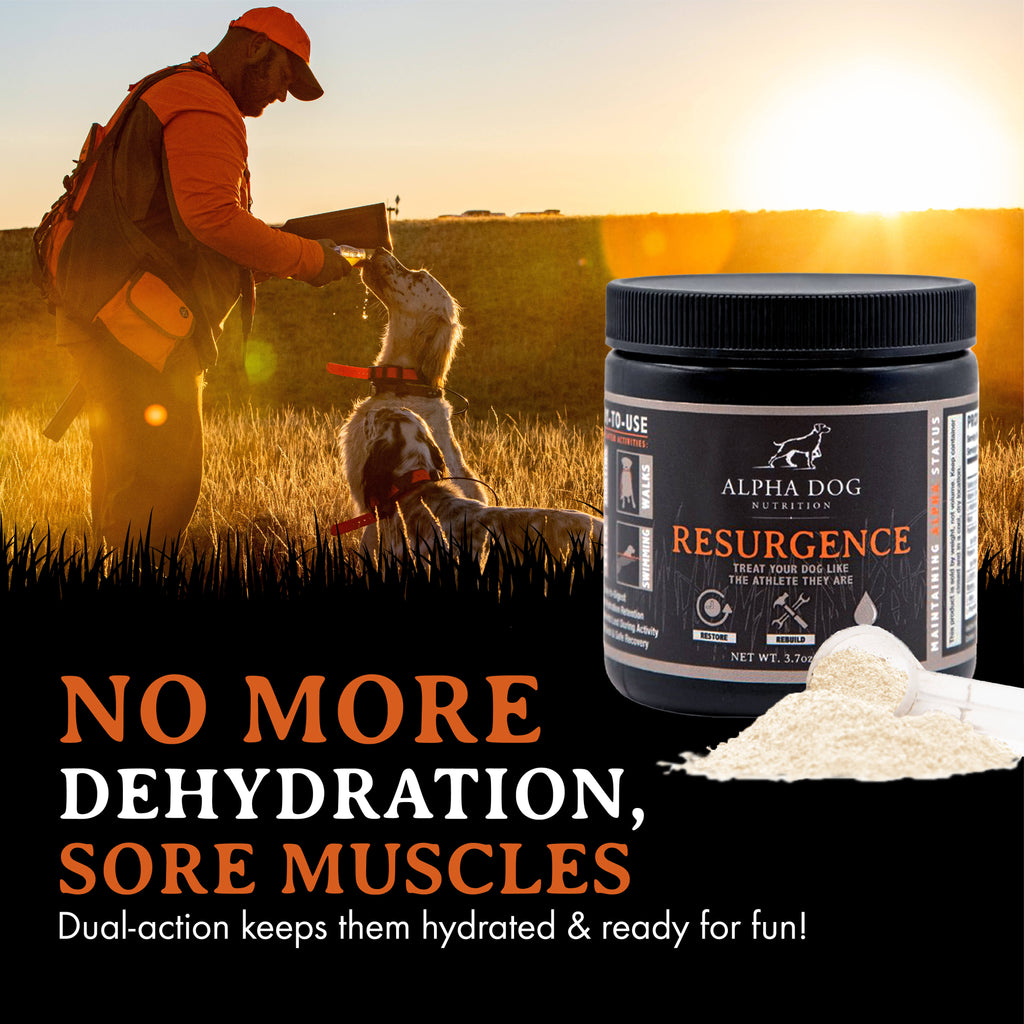 Dog Hydration and Recovery Supplement product image 7