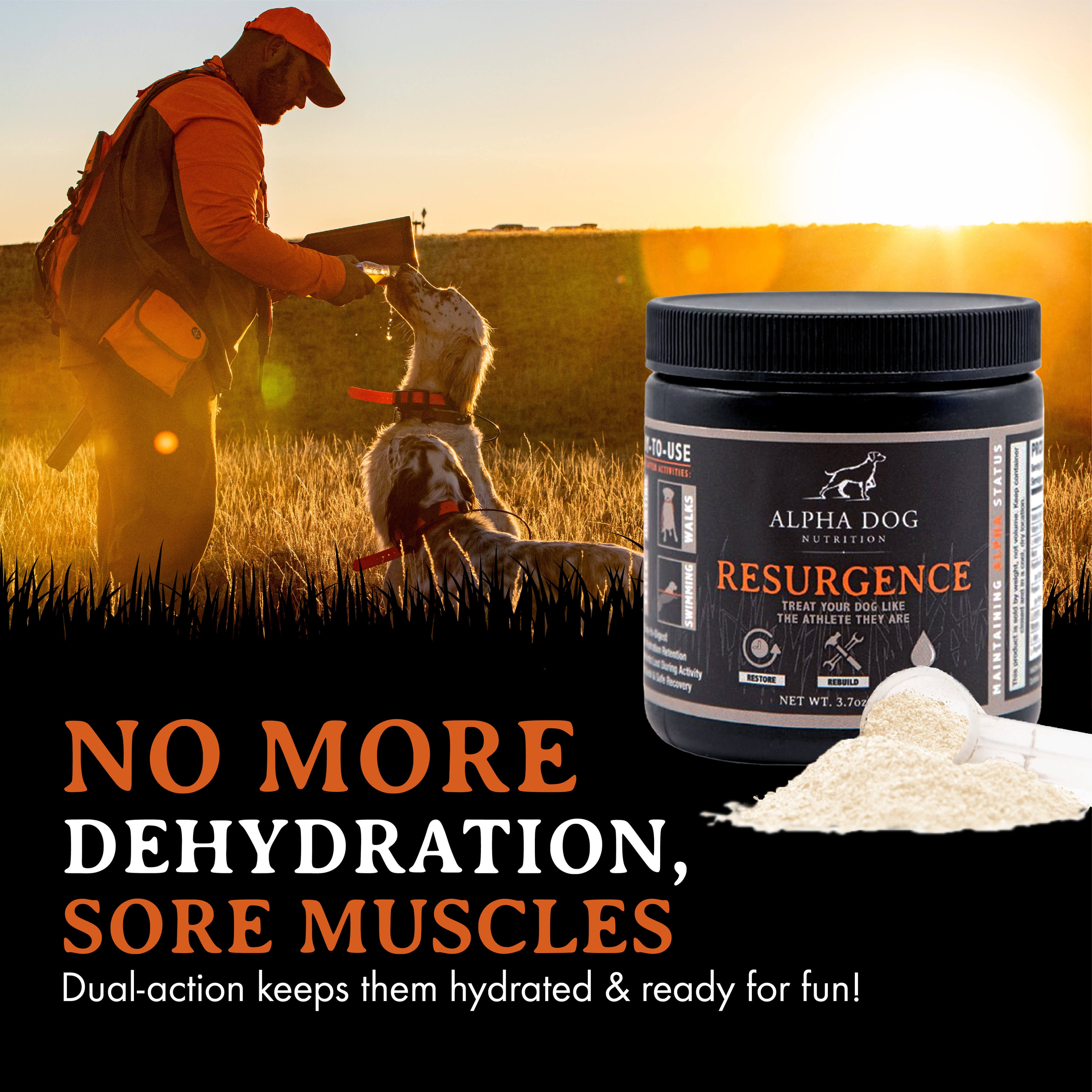 Dog Hydration and Recovery Supplement product image 7