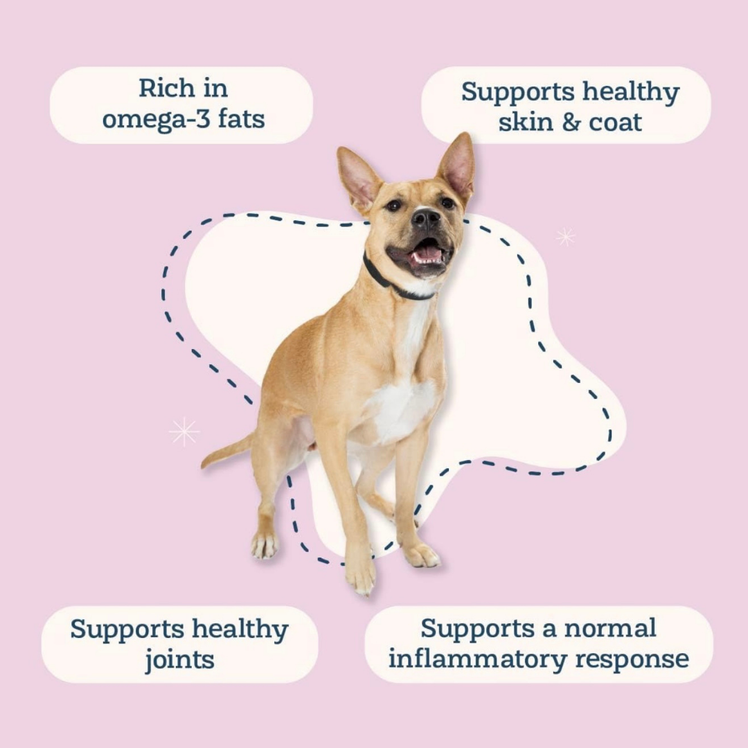 Dog Joint Supplement product image 2