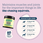 Dog Joint Supplement product image 5