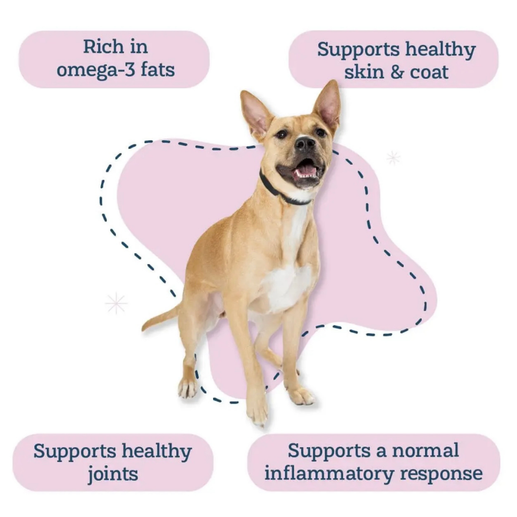 Dog Joint Supplement product image 8