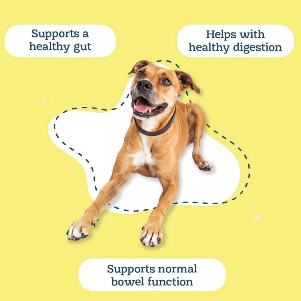 Dog Digestive Supplement product image 2