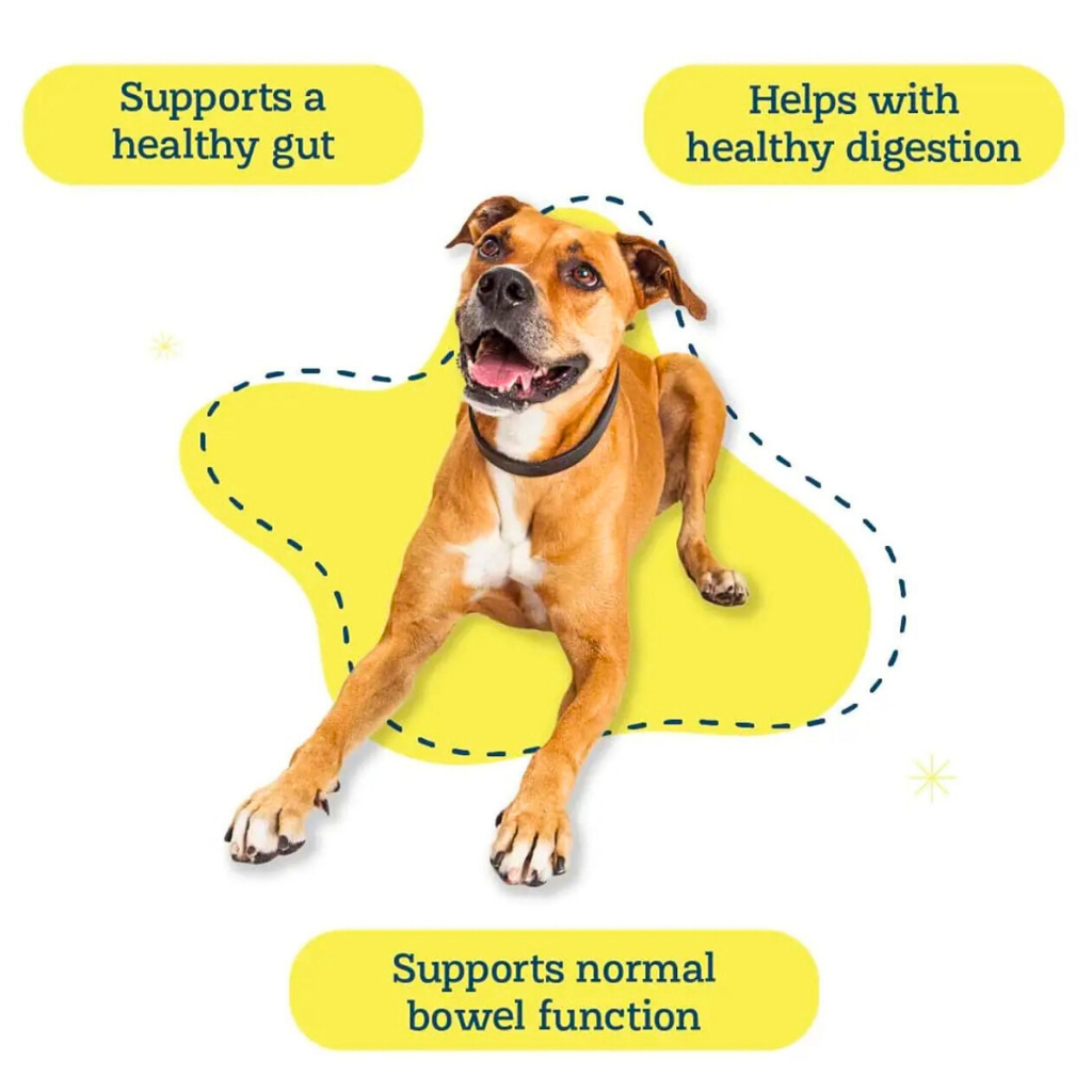 Dog Digestive Supplement product image 9