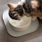Pet Feeding Mat product image 6