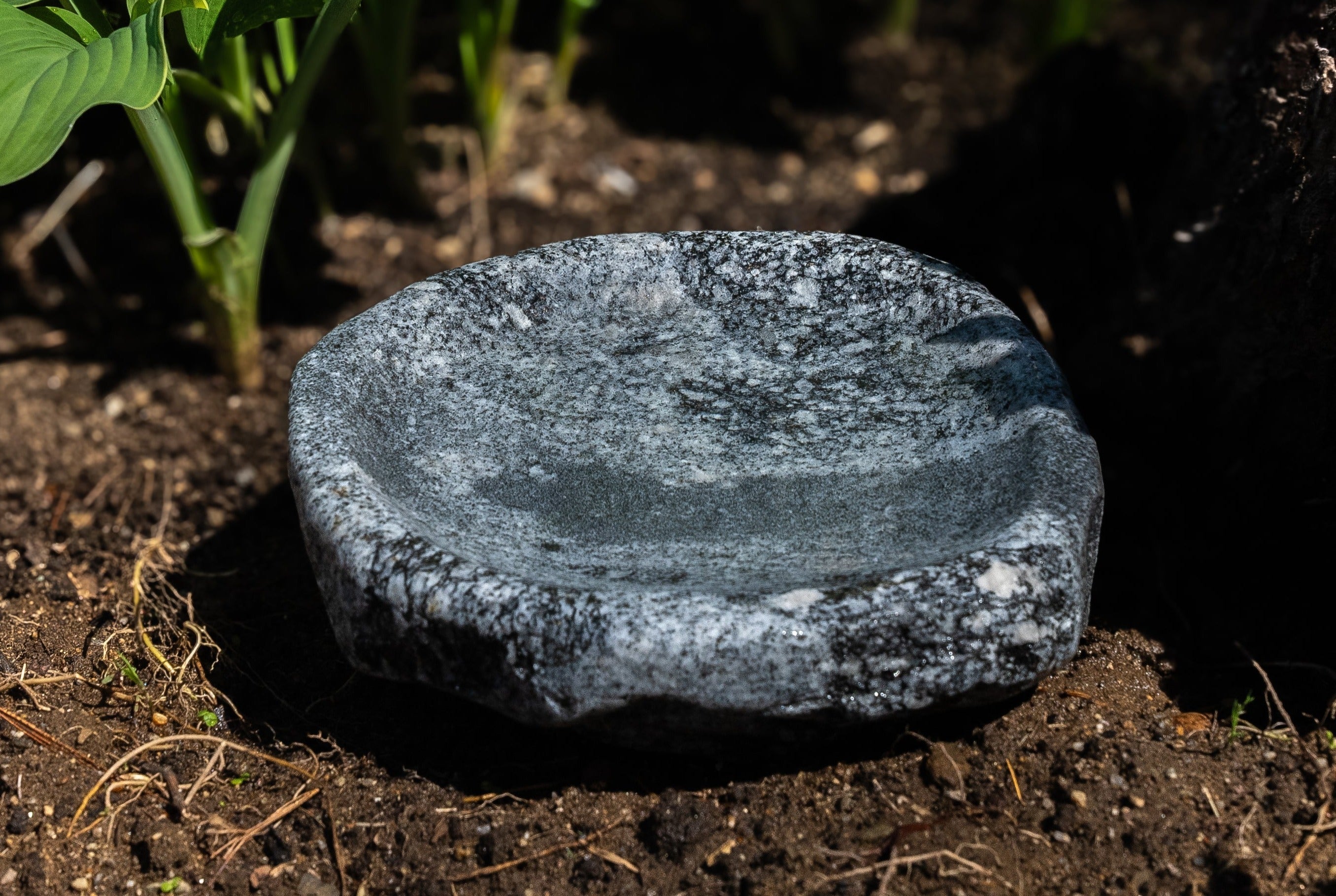 Hand-Chiseled Granite Puddle Stone Birdbath product image 5