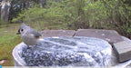 Hand-Chiseled Granite Puddle Stone Birdbath product image 7