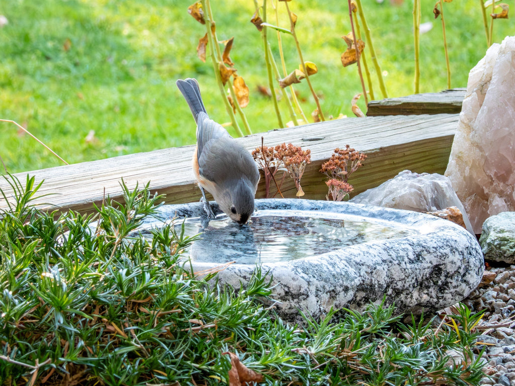 Hand-Chiseled Granite Puddle Stone Birdbath product image 8