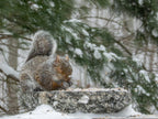 Hand-Chiseled Granite Puddle Stone Birdbath product image 12