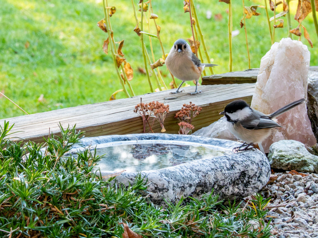 Hand-Chiseled Granite Puddle Stone Birdbath product image 16