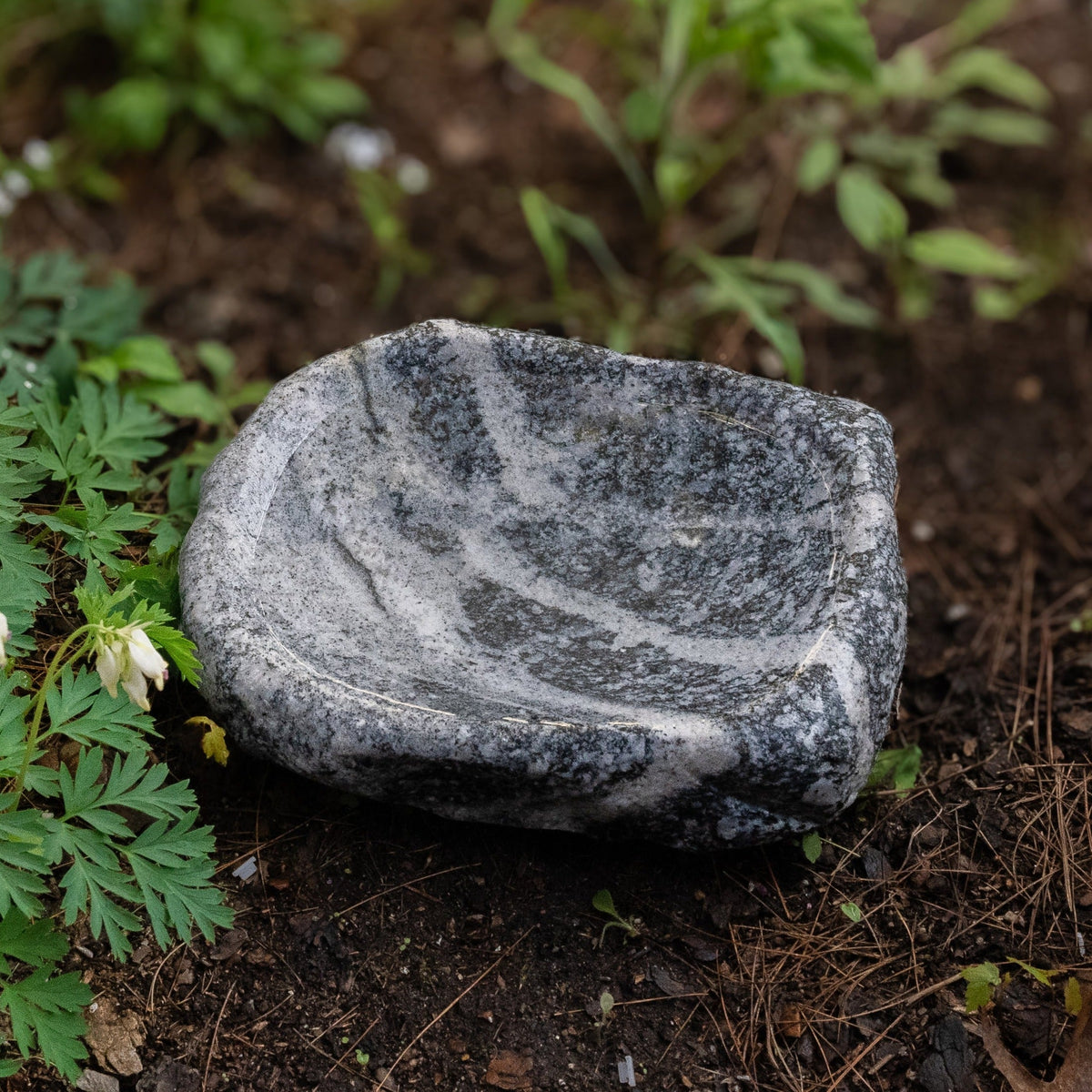 Hand-Chiseled Granite Puddle Stone Birdbath product image 19