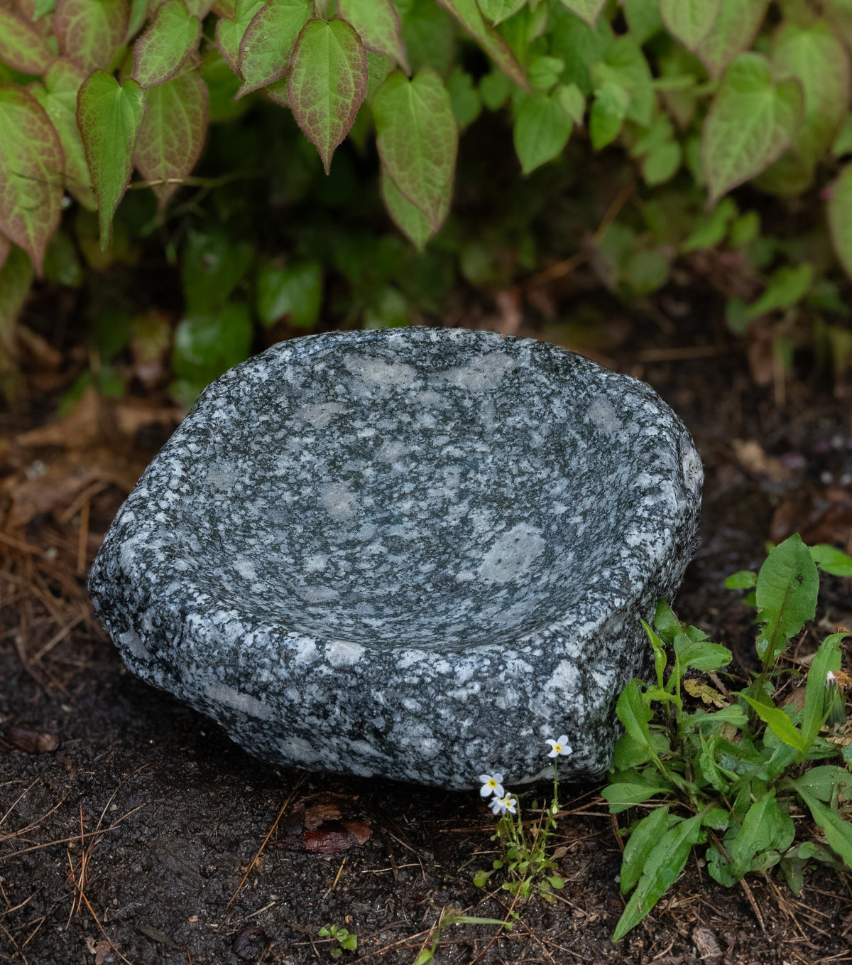 Hand-Chiseled Granite Puddle Stone Birdbath product image 20