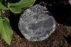 Hand-Chiseled Granite Puddle Stone Birdbath product image 23