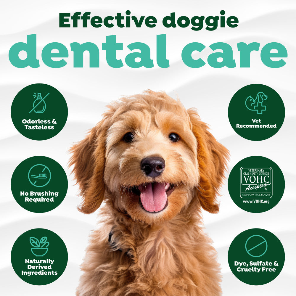 Dental Water Additive product image 9