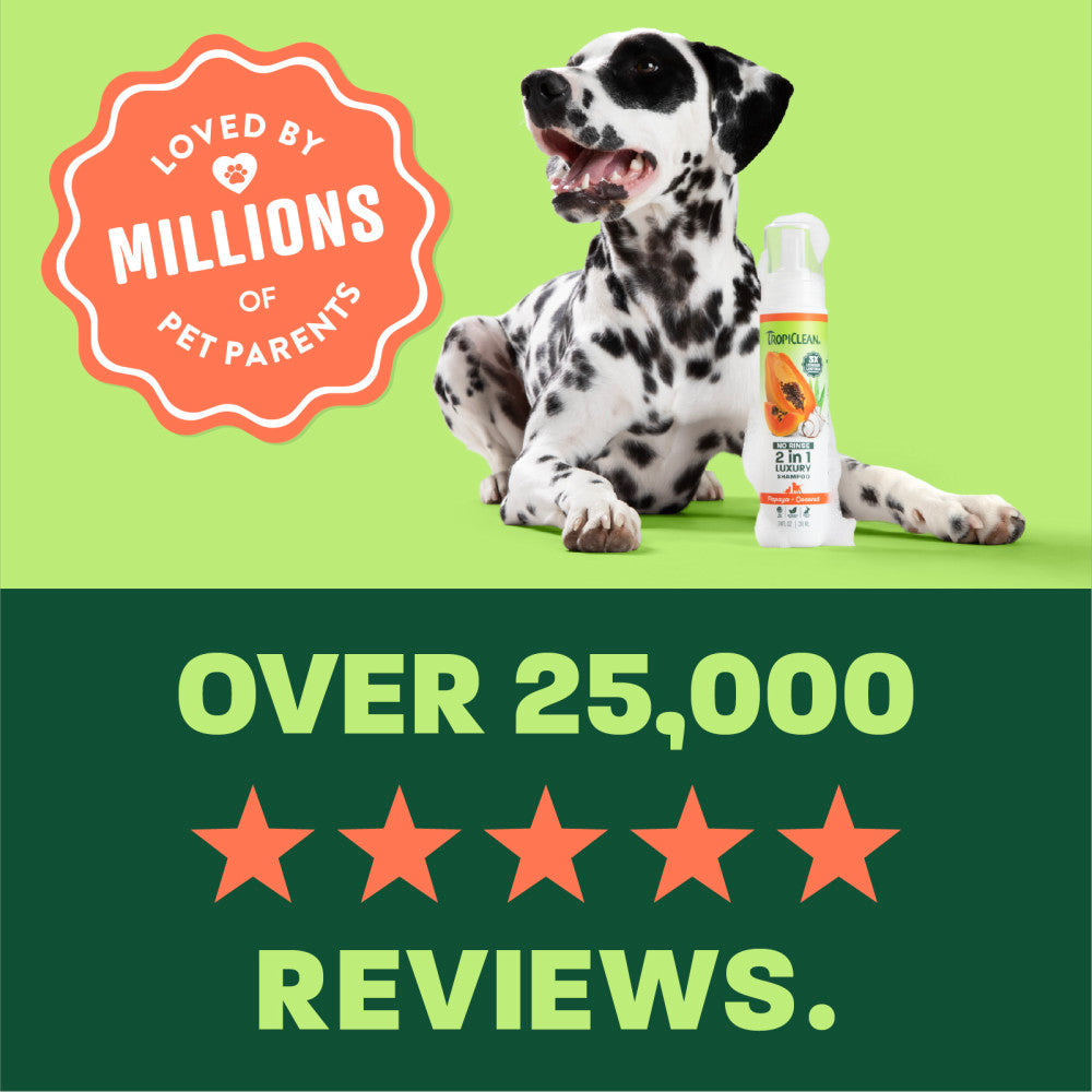 No Rinse Pet Shampoo product image 7