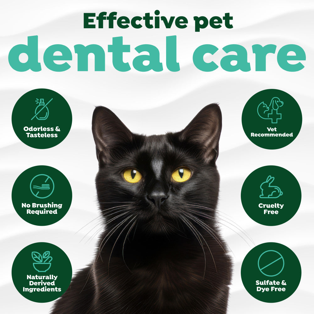 Cat Dental Water Additive product image 4
