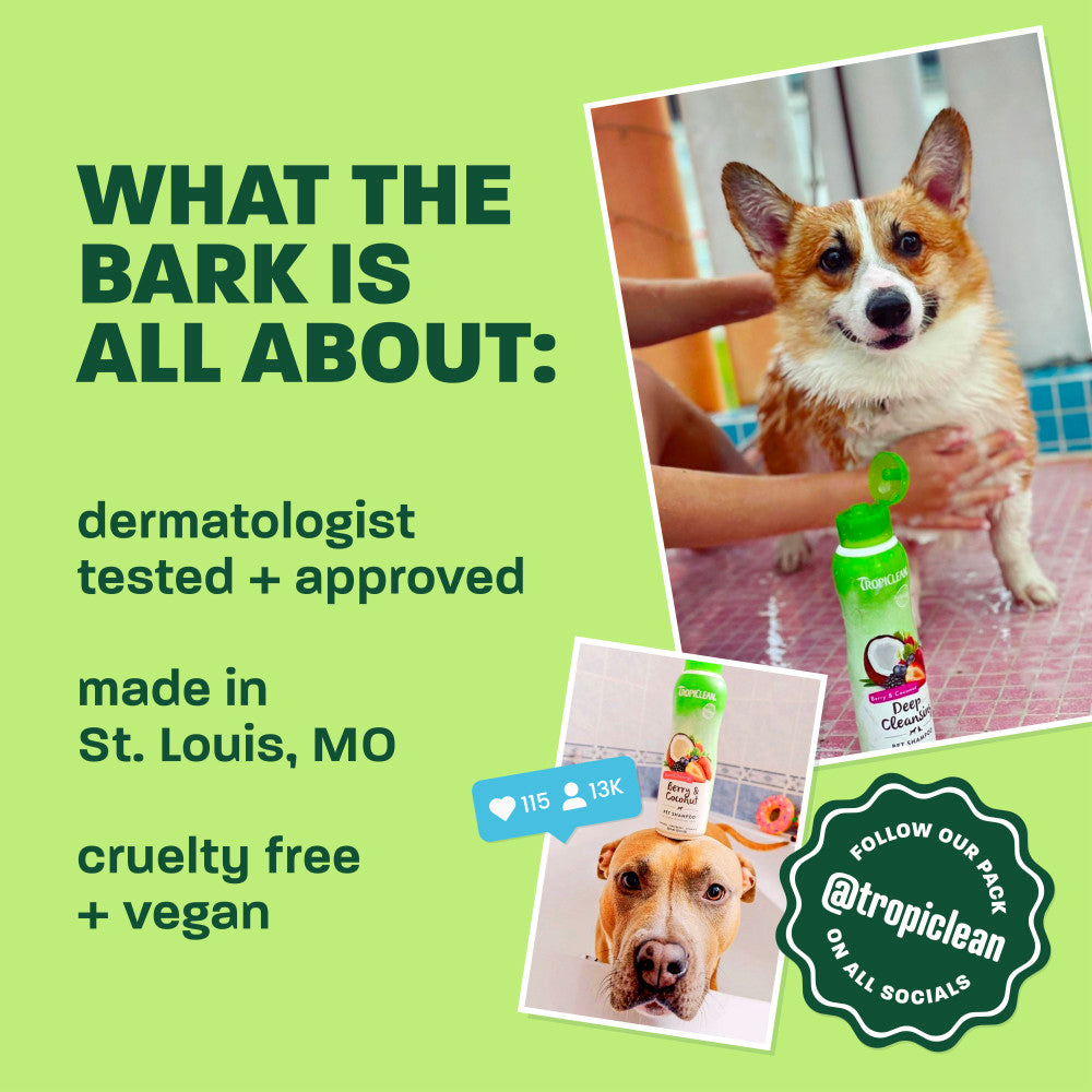 Hypoallergenic Pet Wipes product image 6