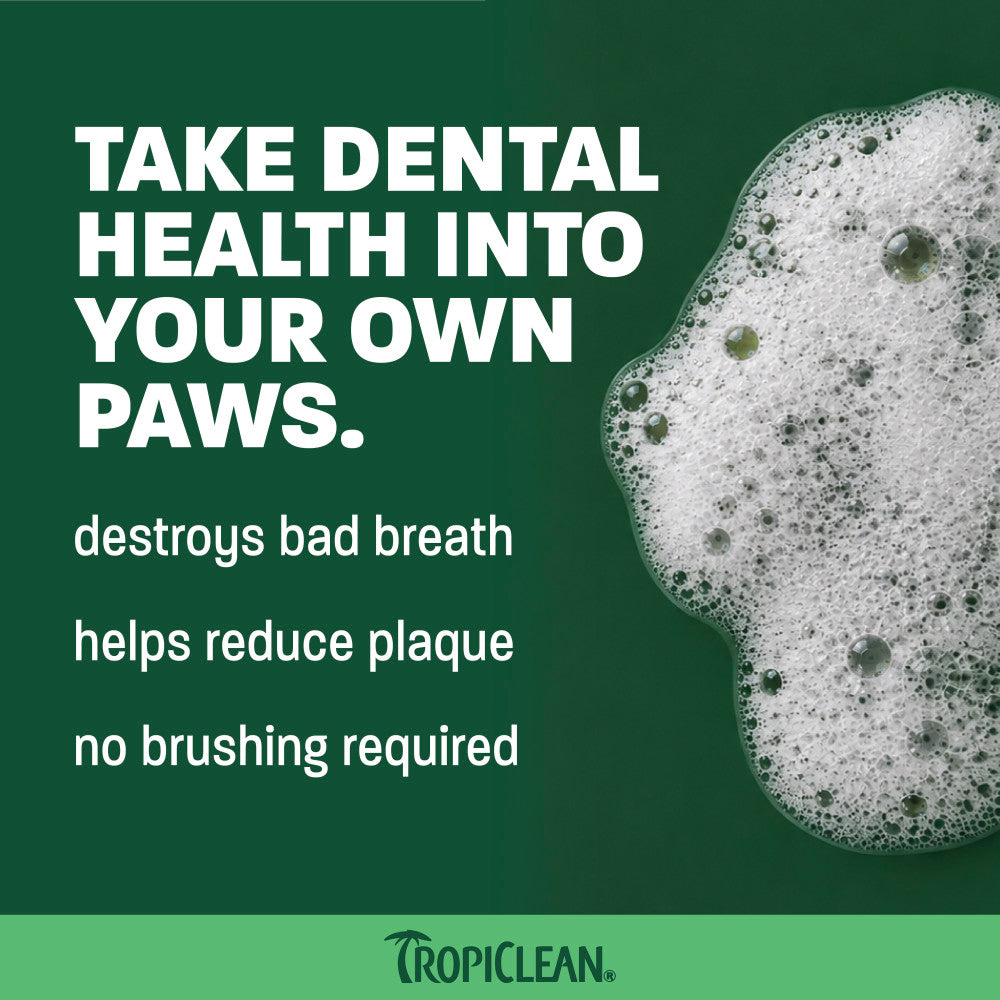 Pet Breath Freshener Foam product image 4