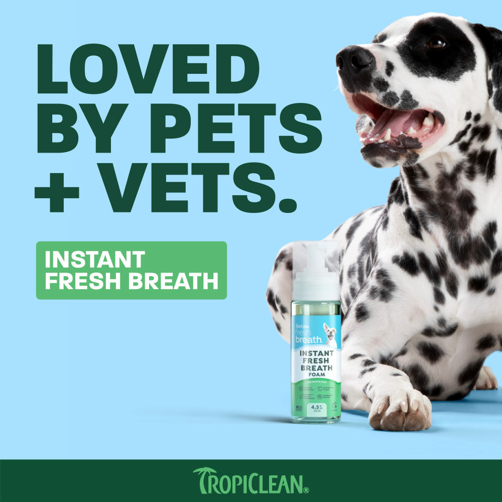 Pet Breath Freshener Foam product image 5