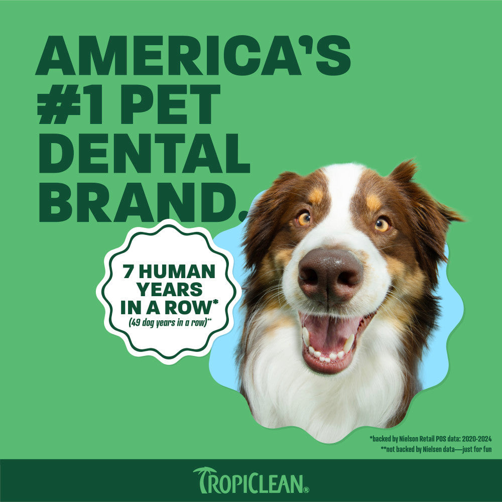 Pet Breath Freshener Foam product image 8