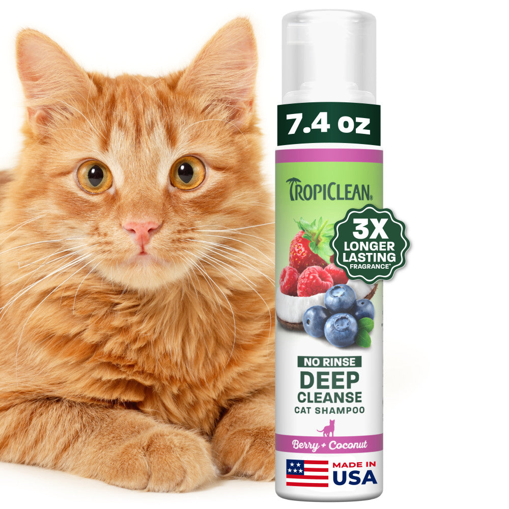 Cat Shampoo product image 1