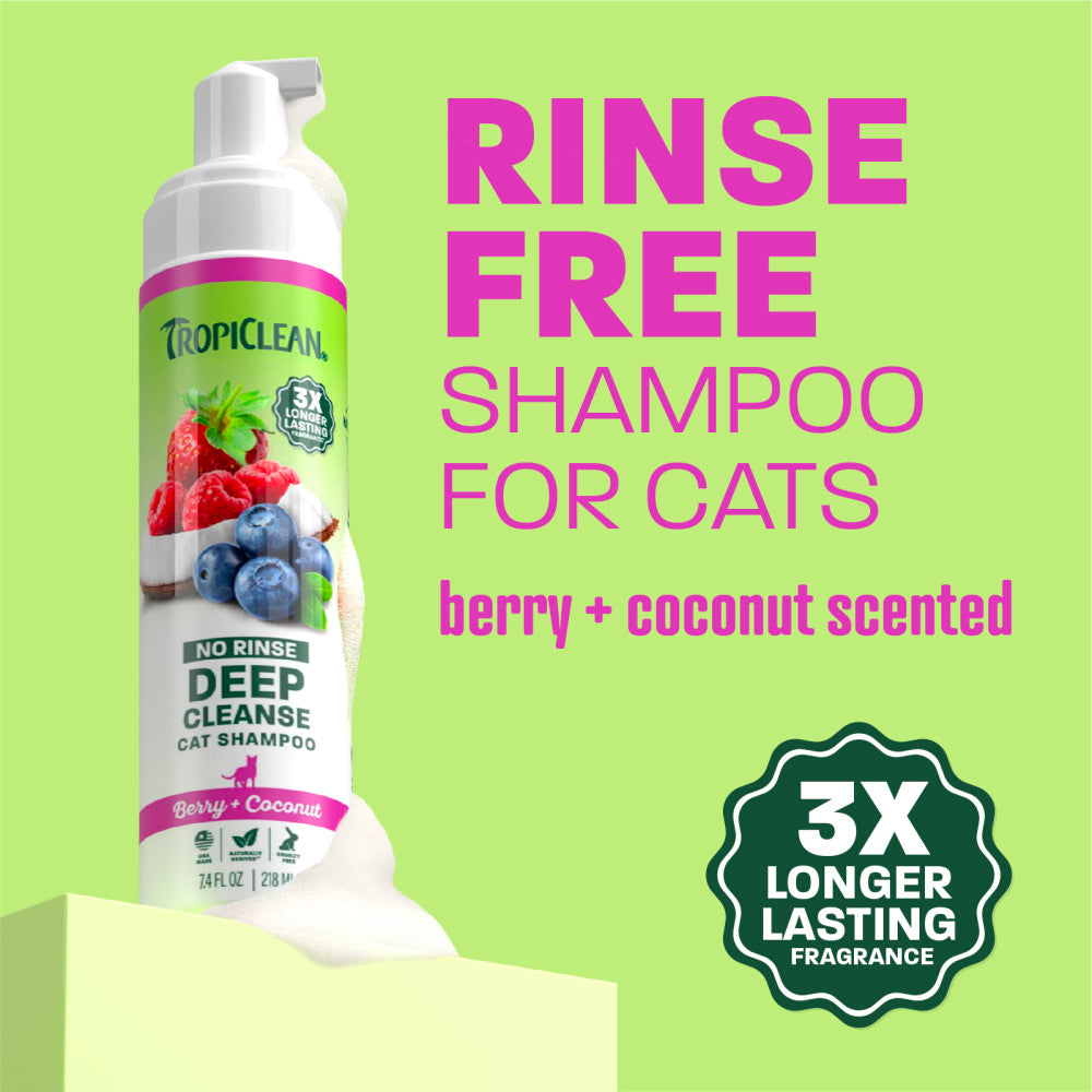 Cat Shampoo product image 3