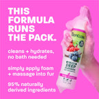 Cat Shampoo product image 4