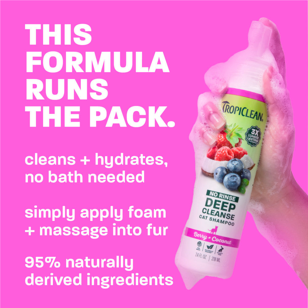 Cat Shampoo product image 4