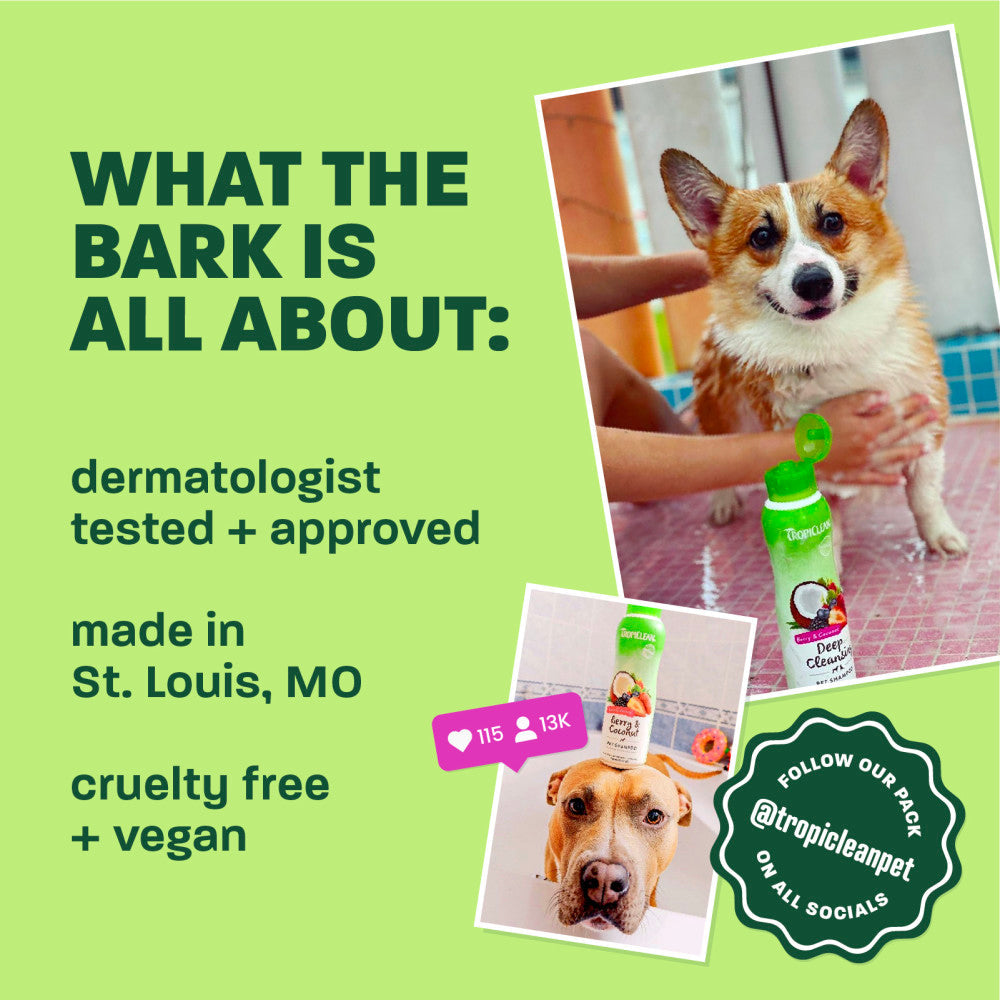 Cat Shampoo product image 6