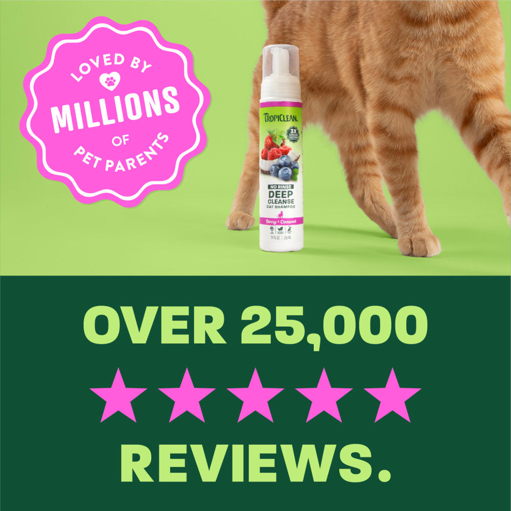 Cat Shampoo product image 7