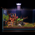 Aquarium Light product image 8