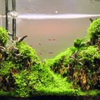 Aquarium Light product image 11