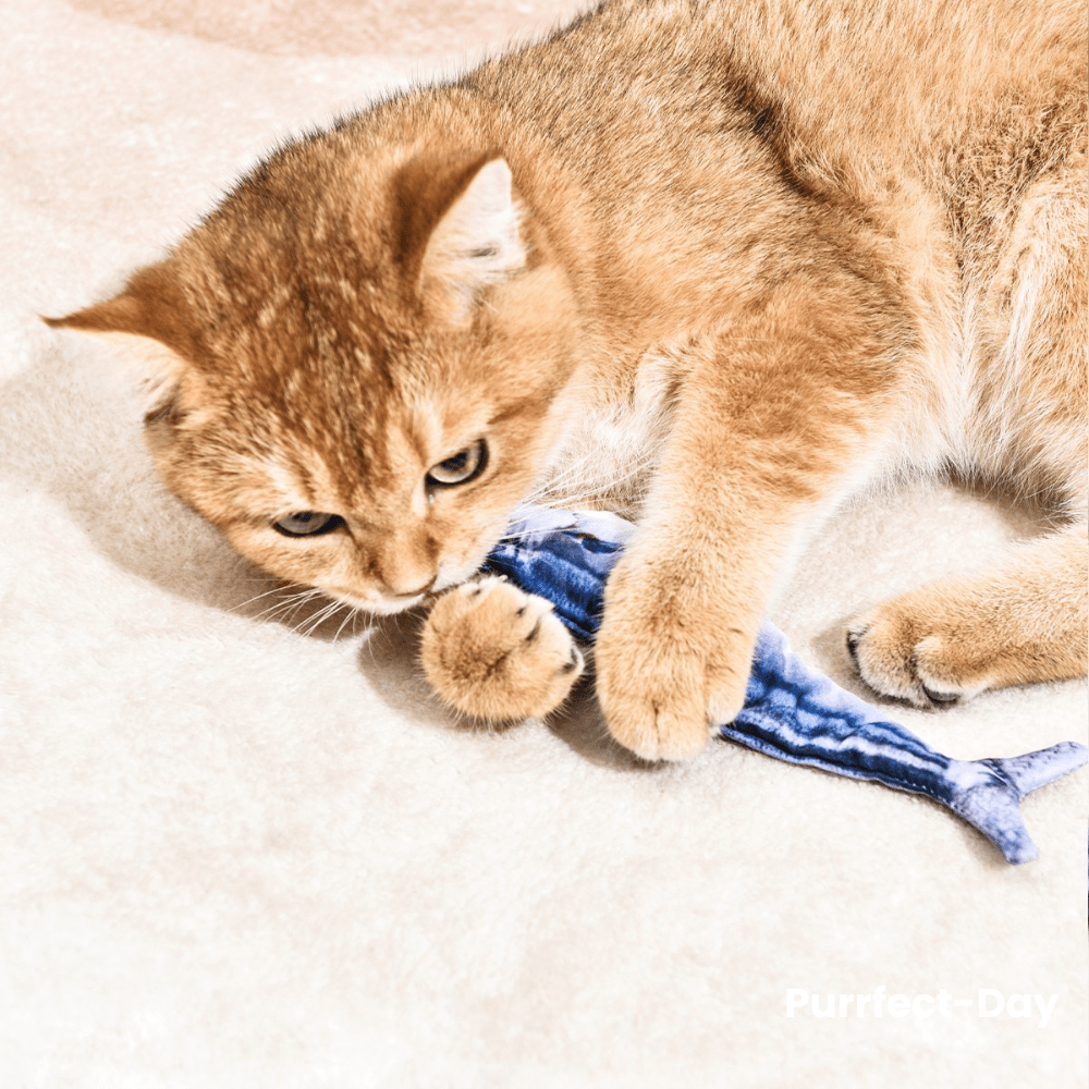 Interactive Cat Toy product image 16