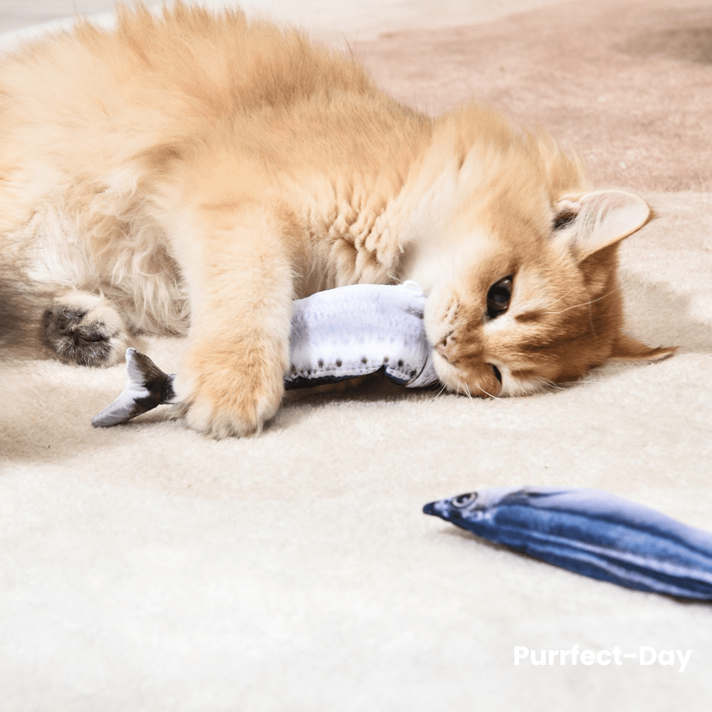 Interactive Cat Toy product image 17