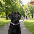 Dog Leash and Collar Set product image 1