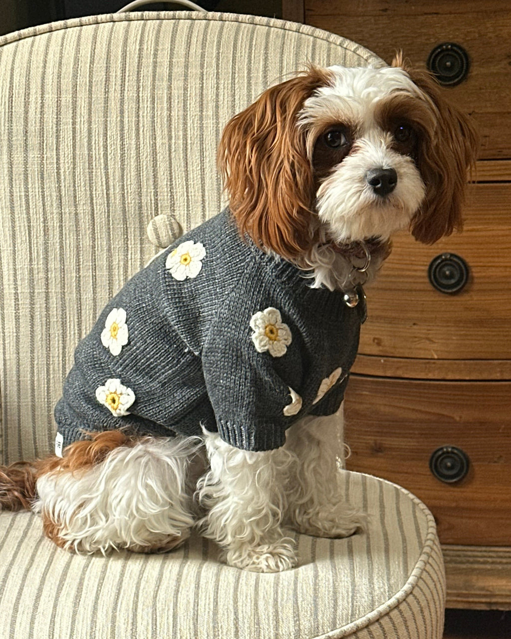 Dog Sweater product image 2