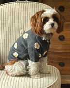 Dog Sweater product image 2