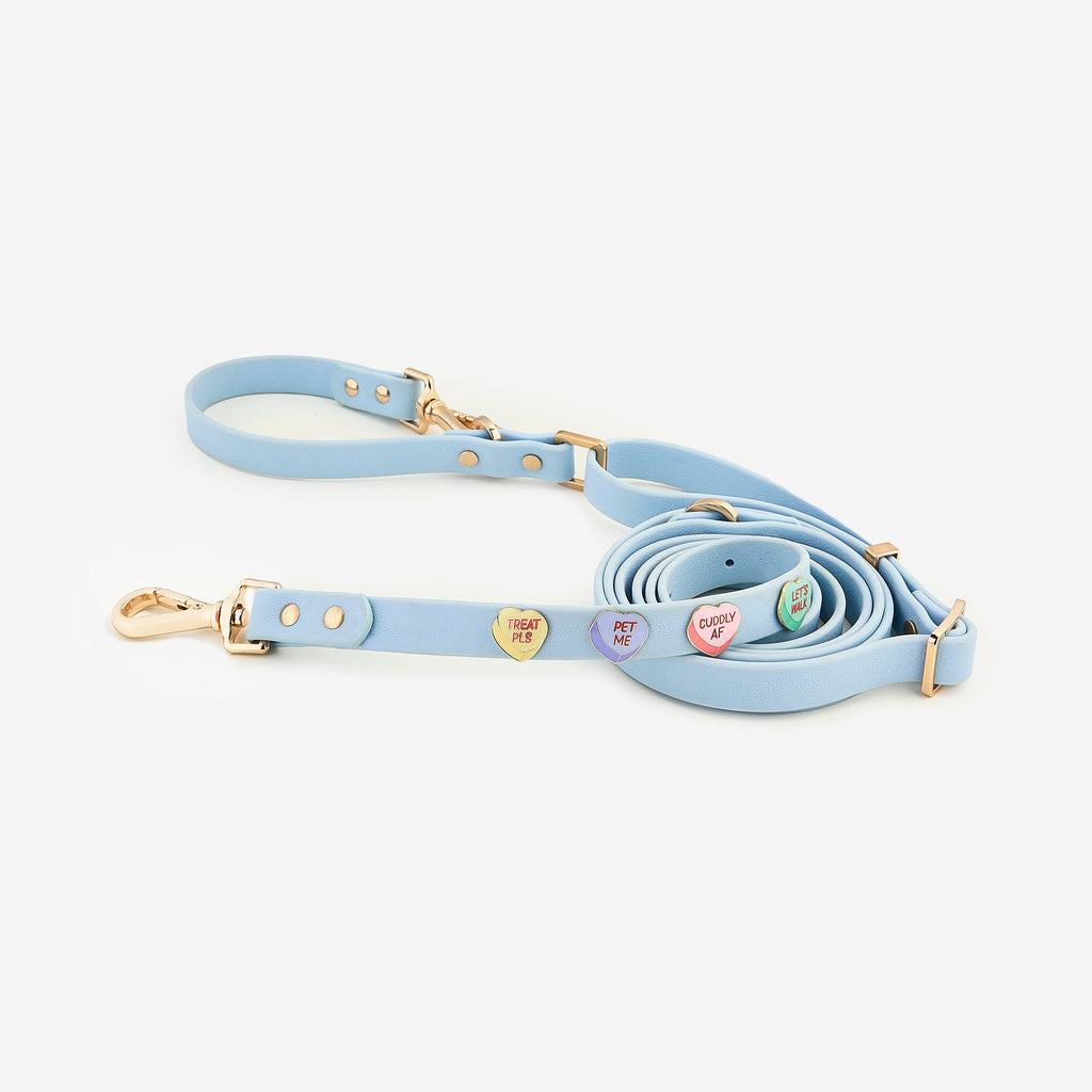 Dog Leash product image 1