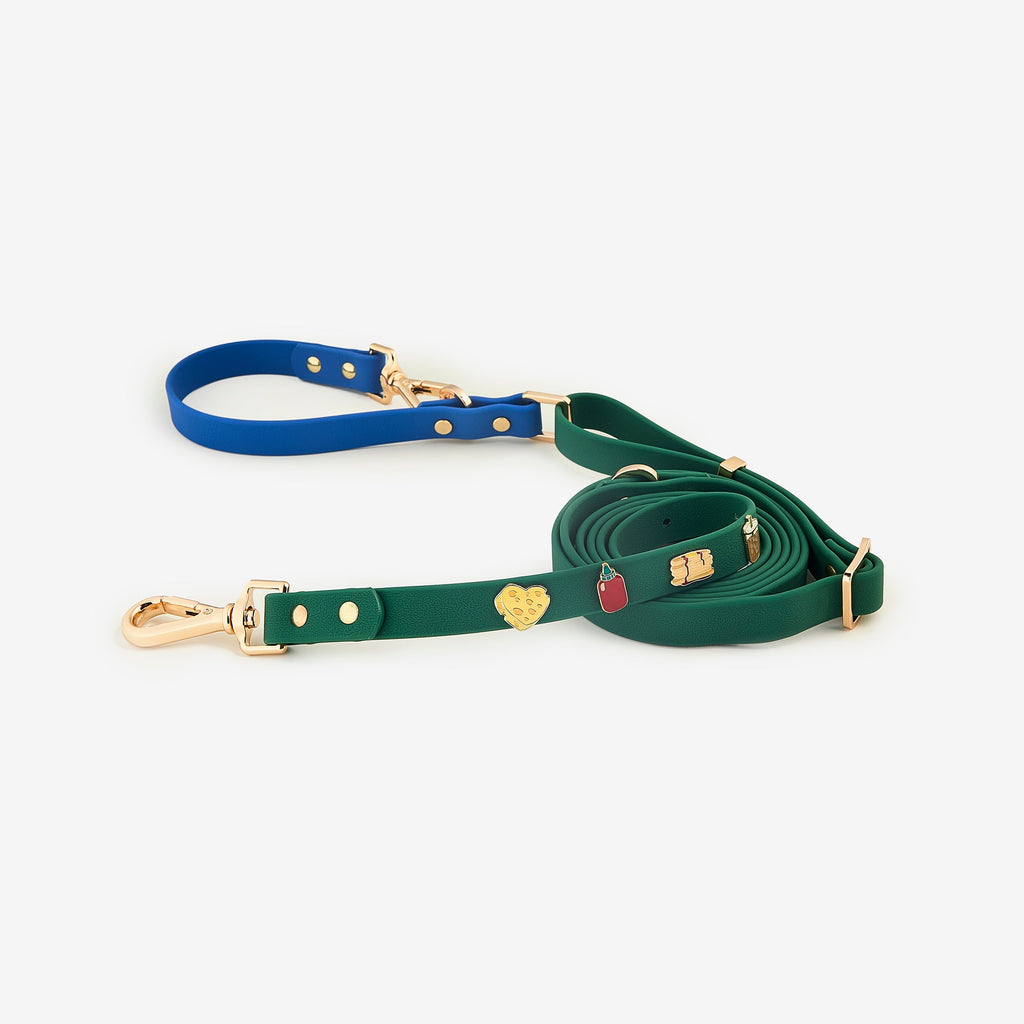 Dog Leash product image 5