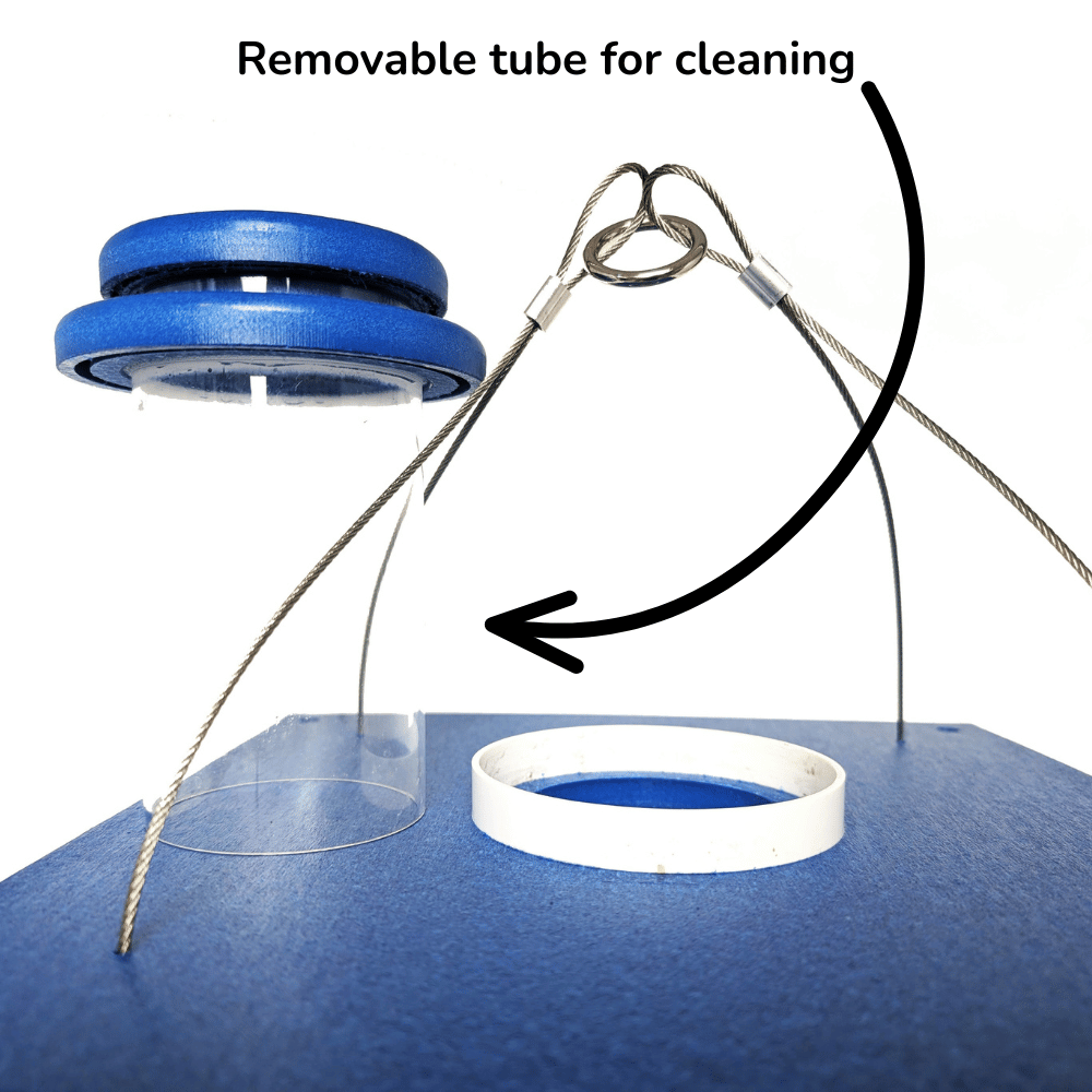 Eastern Bluebird Mealworm Feeder product image 9