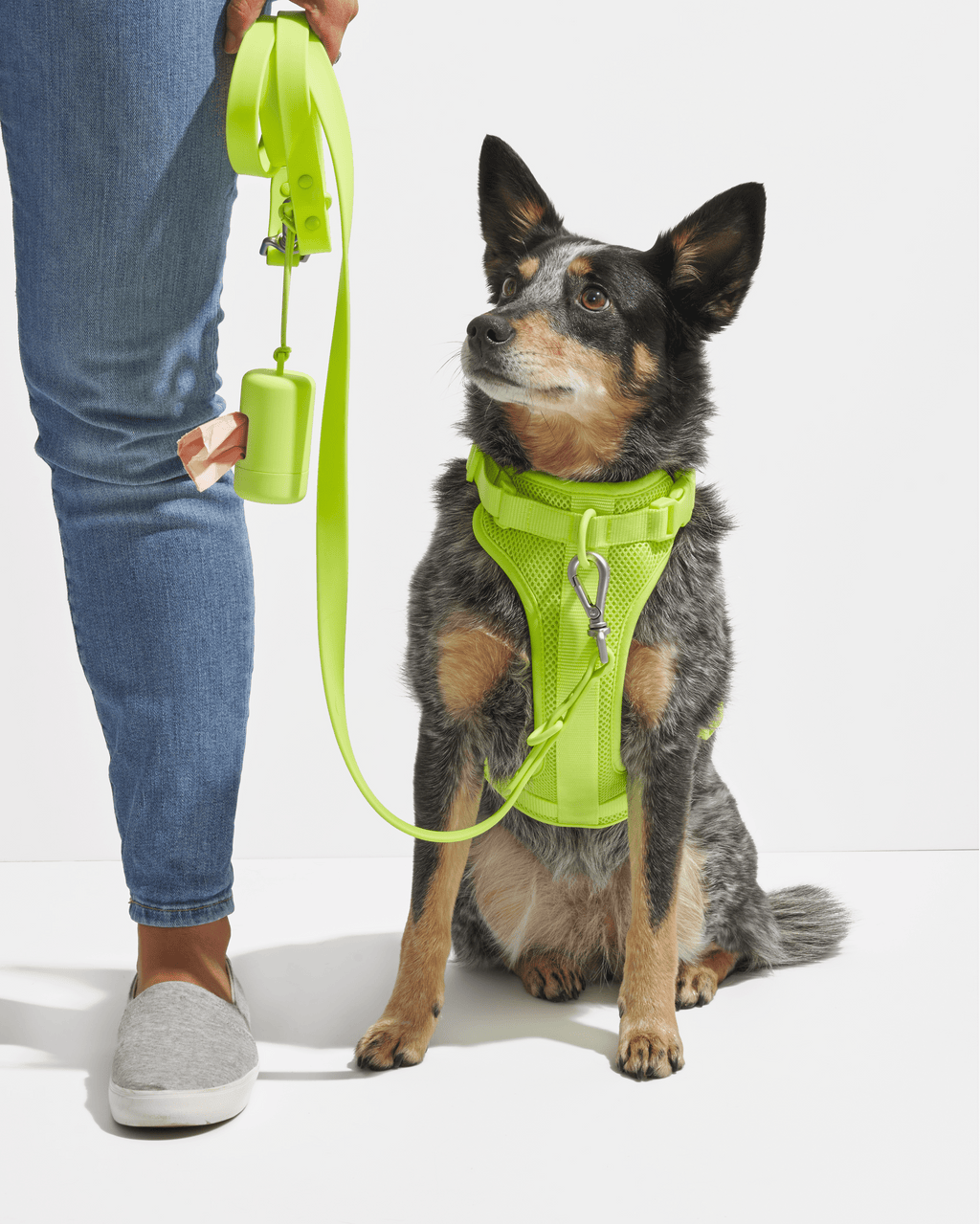 Leash-Attached Dog Waste Bag Dispenser product image 29